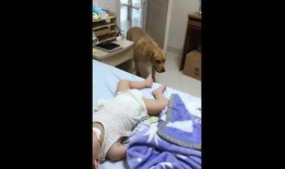 龟头责视频,揭秘神秘视频背后的真相